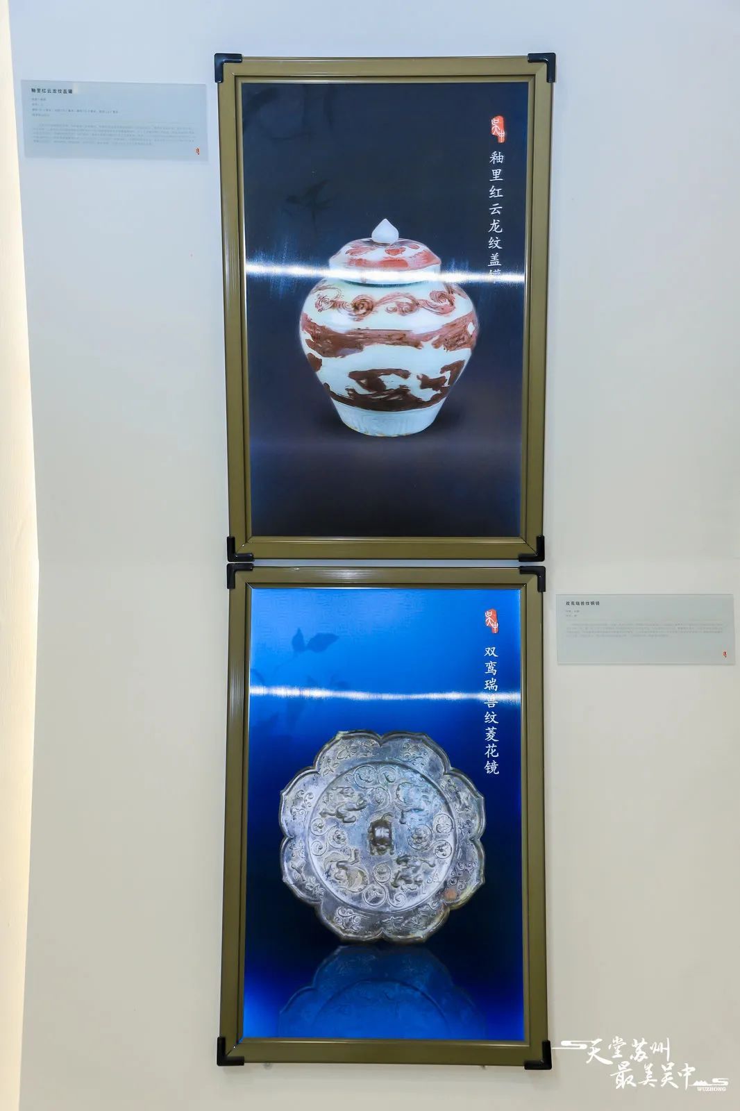 亮点多多！吴中多个展区等你来！