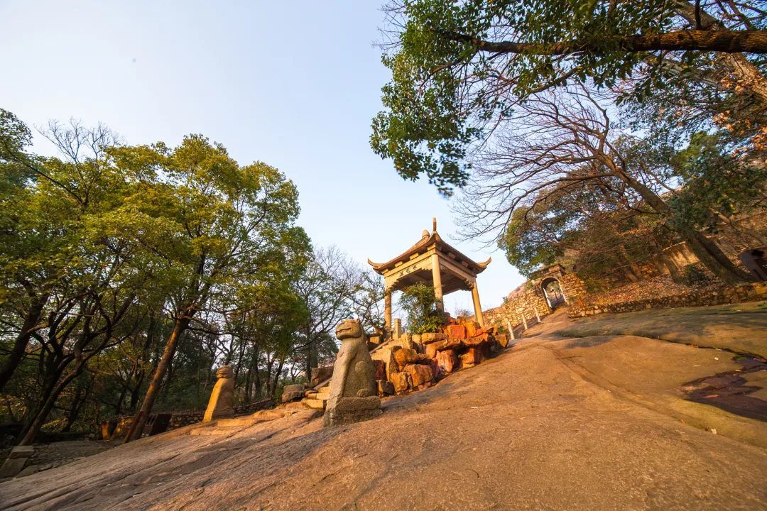 明天重阳节，这些事情要知道！