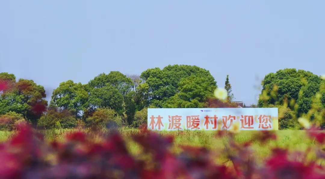 秋高气爽，带娃来这5个地方过周末吧！