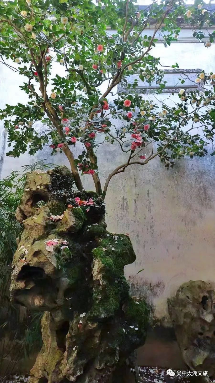 西山岛竟“私藏”这样一座古宅……
