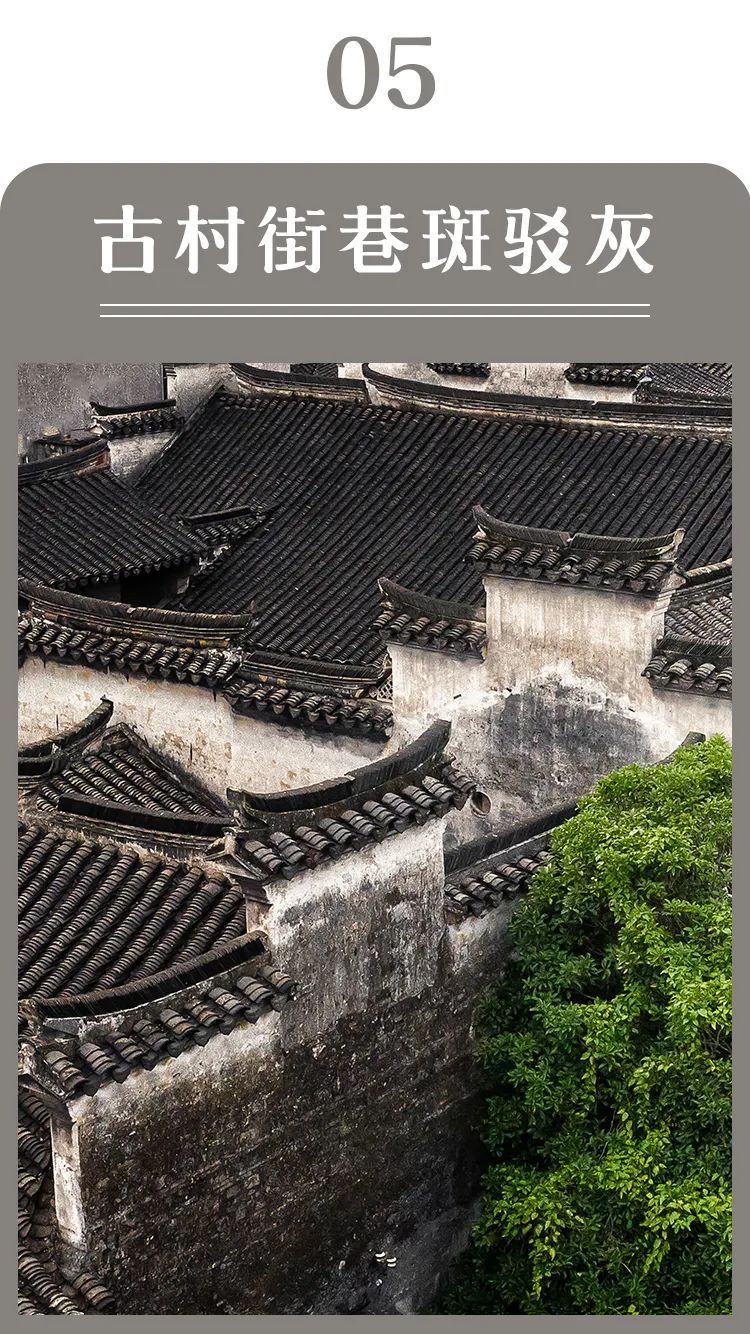 惊艳！秋天的吴中美成调色盘！