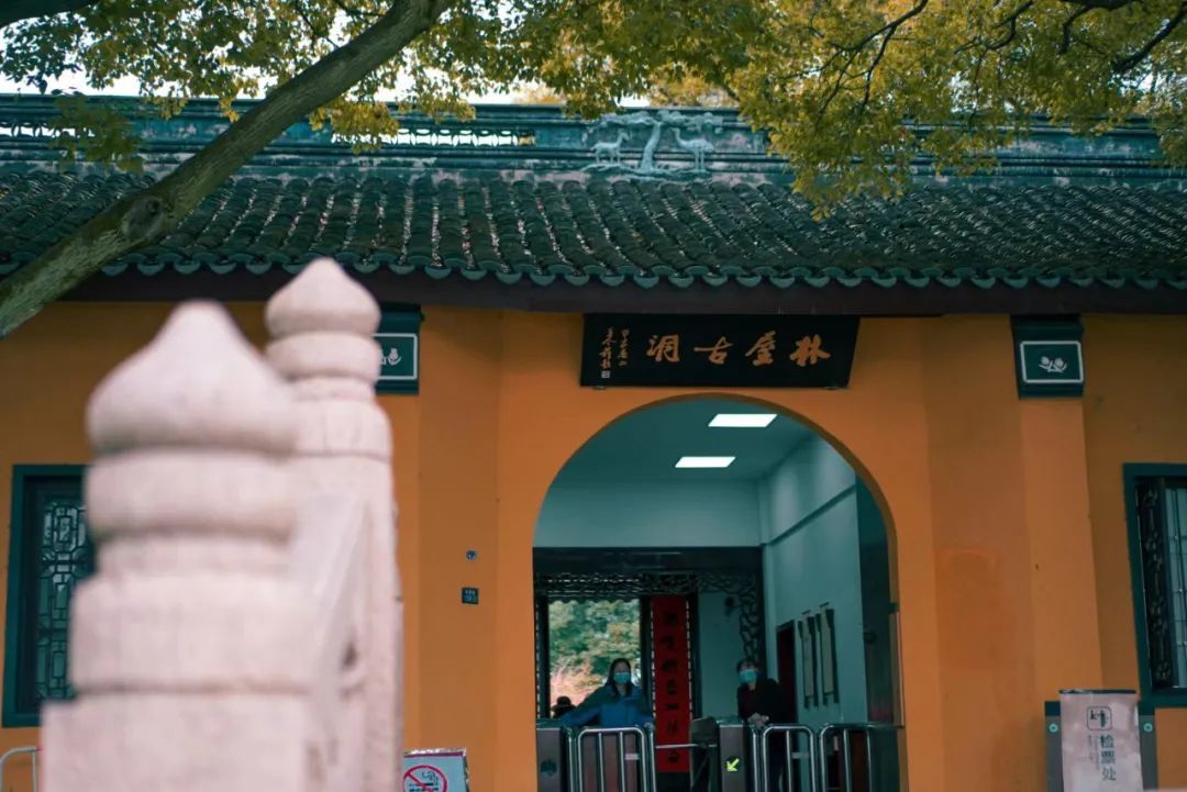 这趟旅行，超甜！
