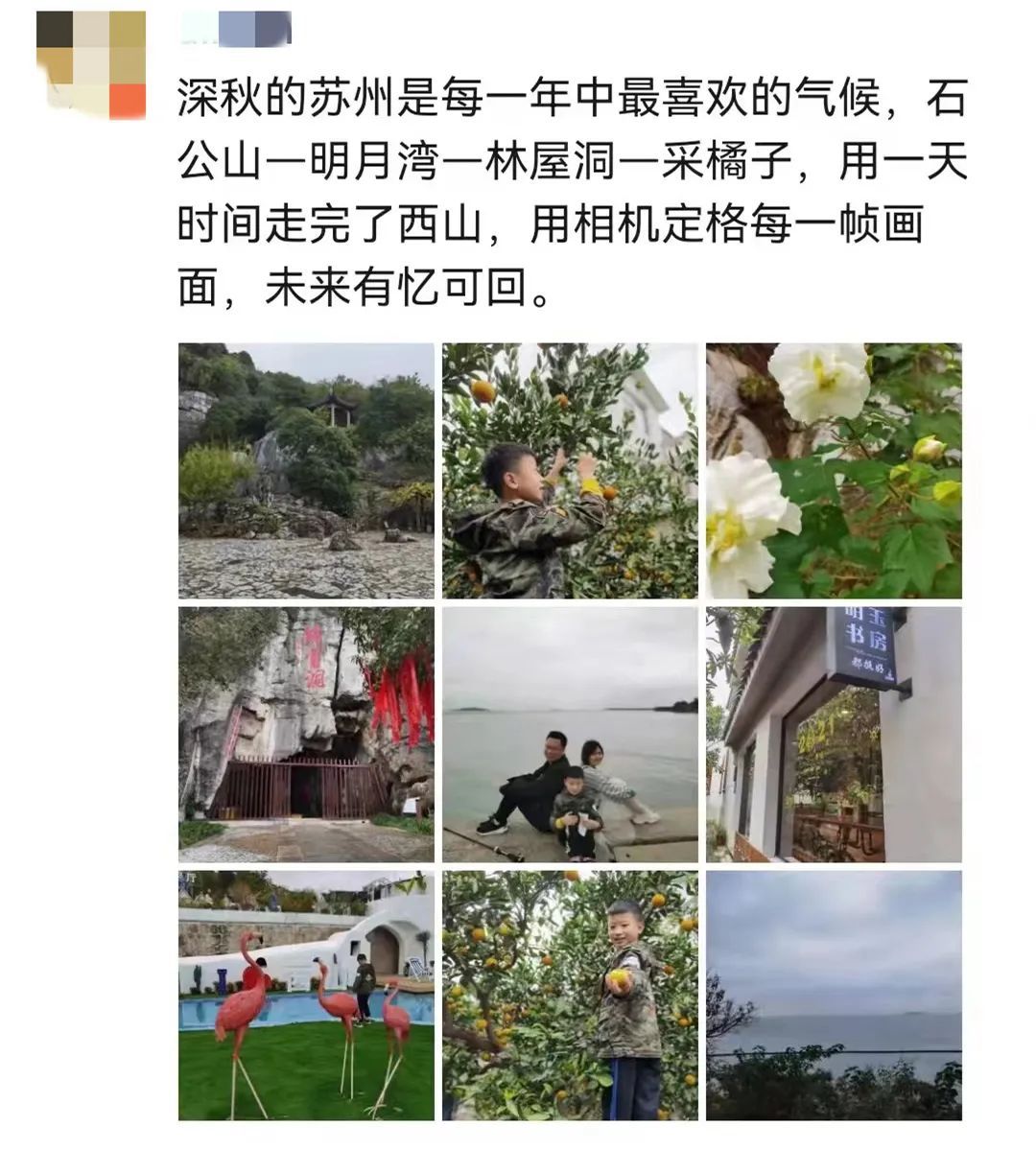 这趟旅行，超甜！