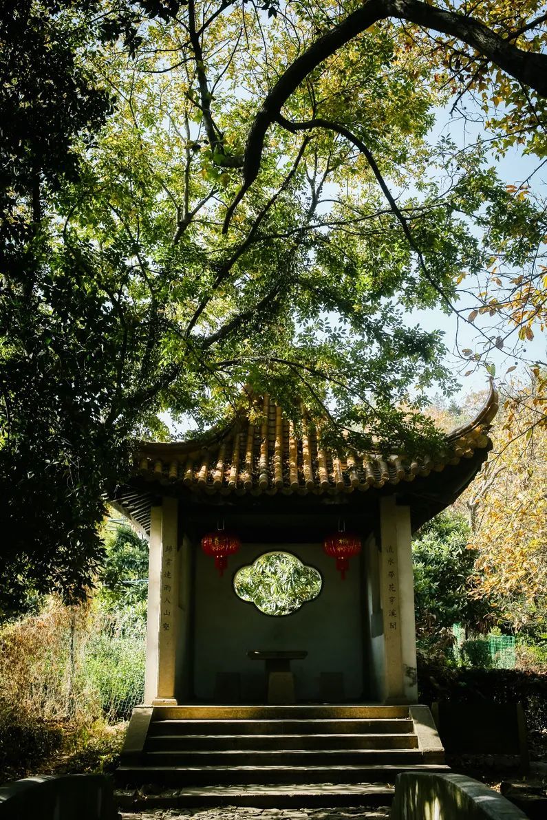 深秋的洞庭东山，依旧撩人！