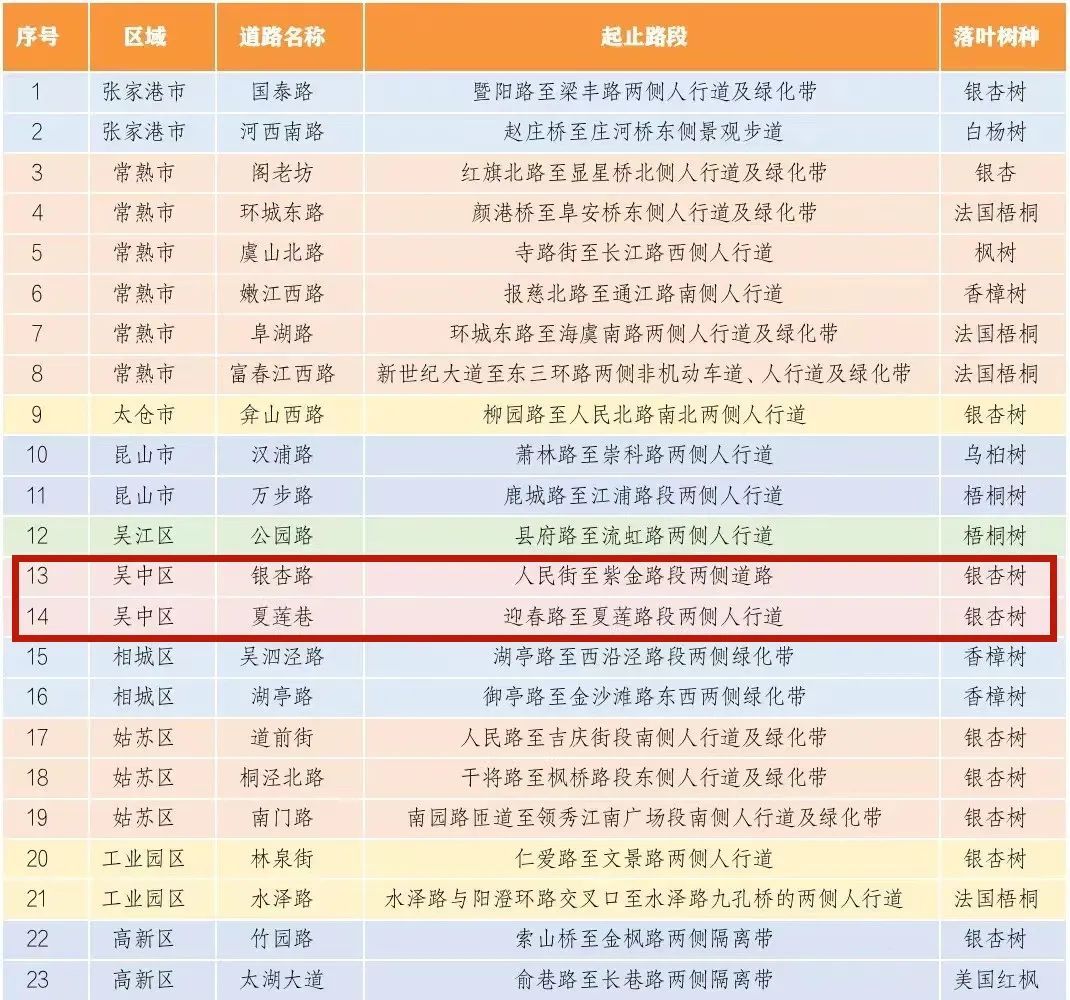 吴中最美银杏观赏地，第一个就心动！