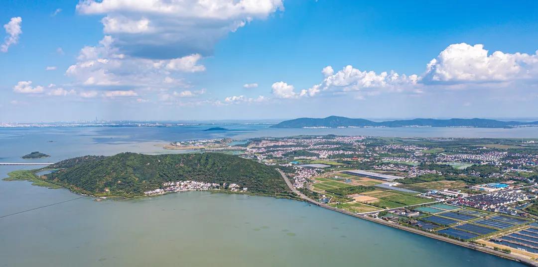 蹄疾步稳！“太湖生态岛”建设加速出彩！