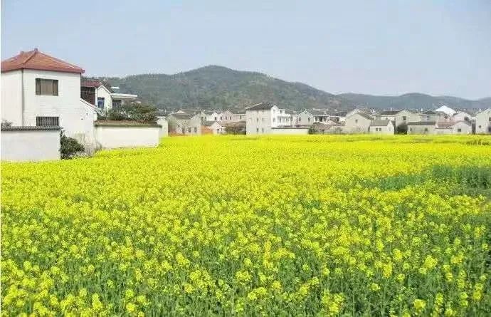 首批名单公布！吴中19+22个！