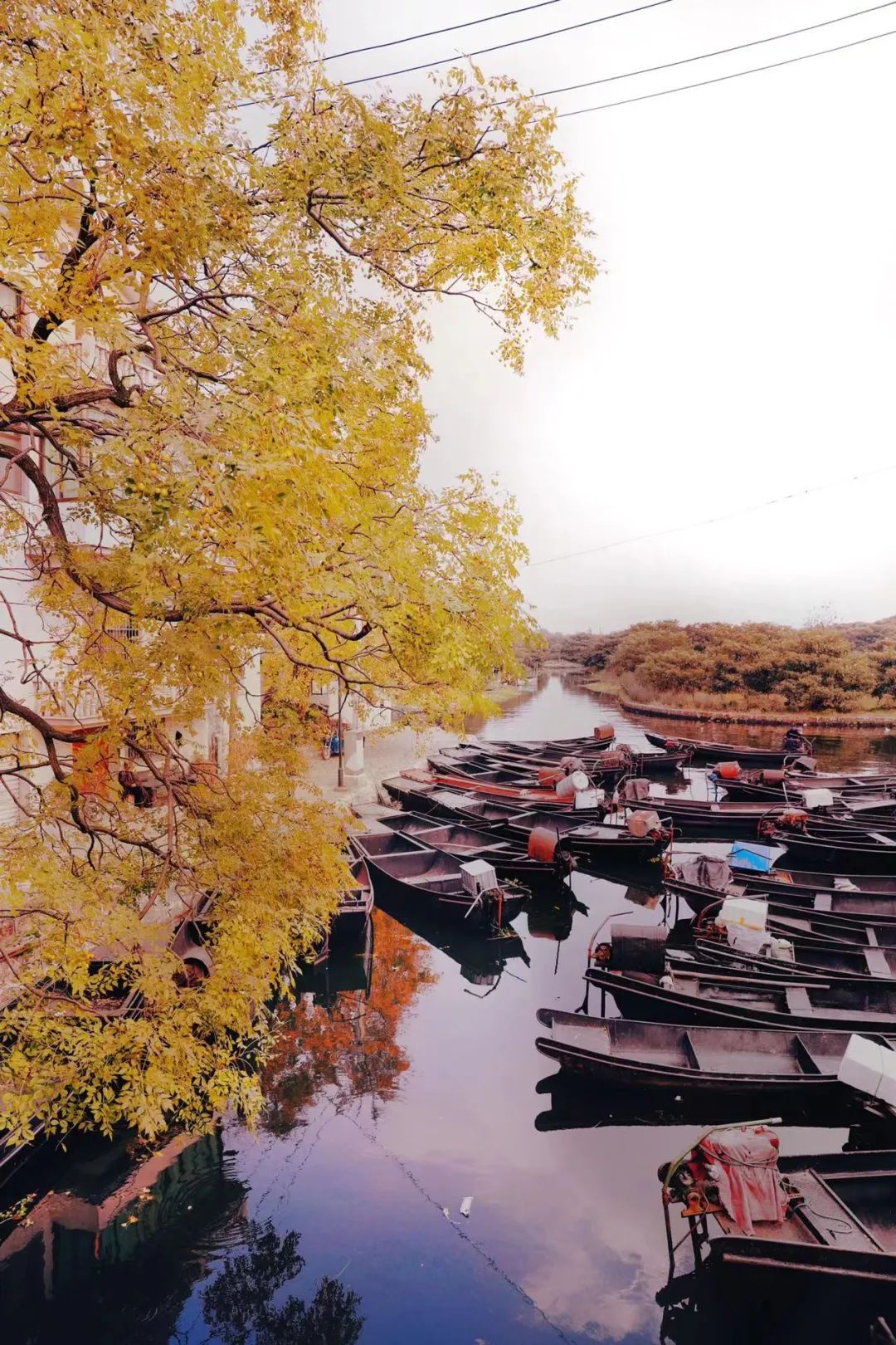寻找东山秋色