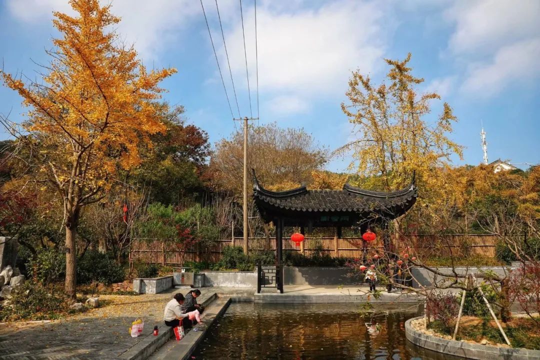 寻找东山秋色