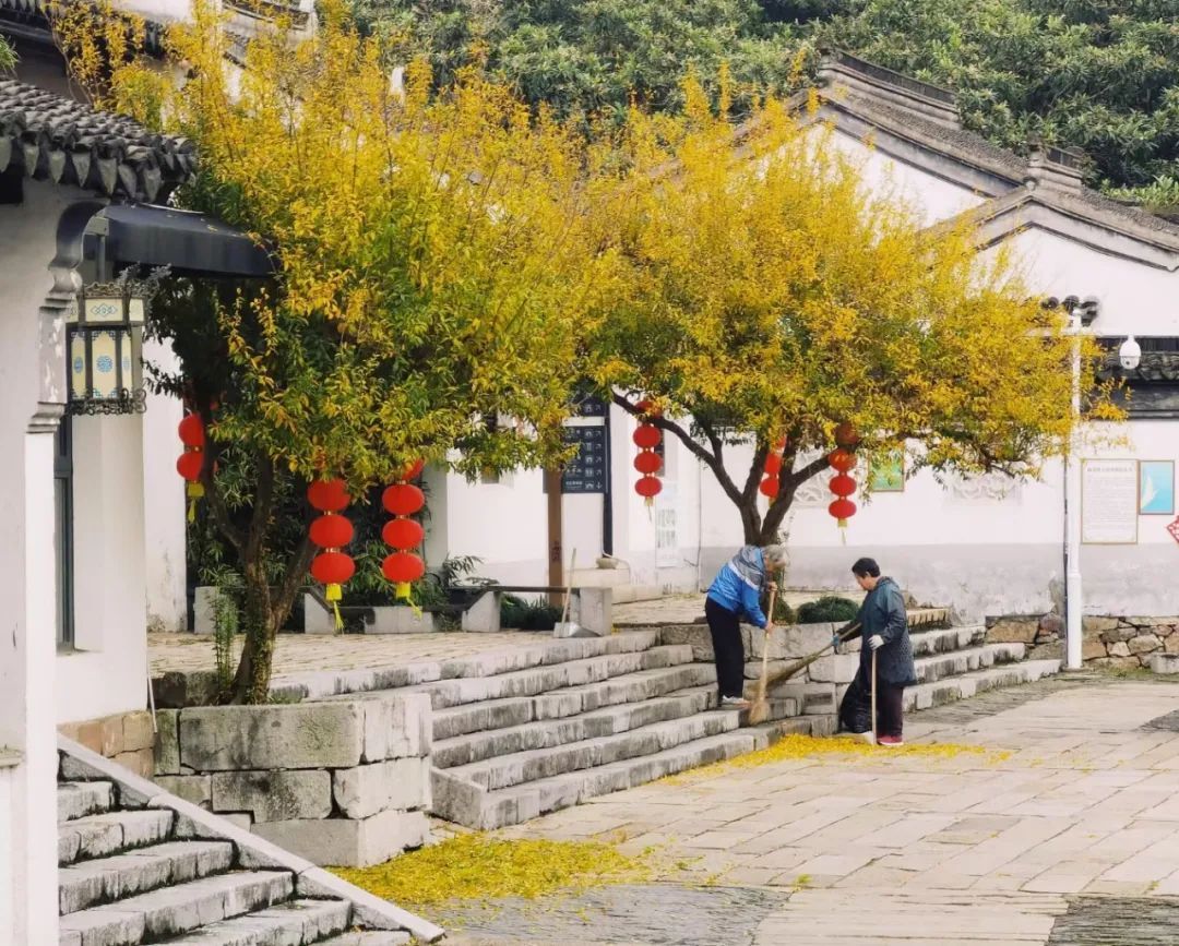 寻找东山秋色