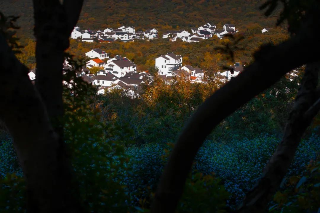寻找东山秋色