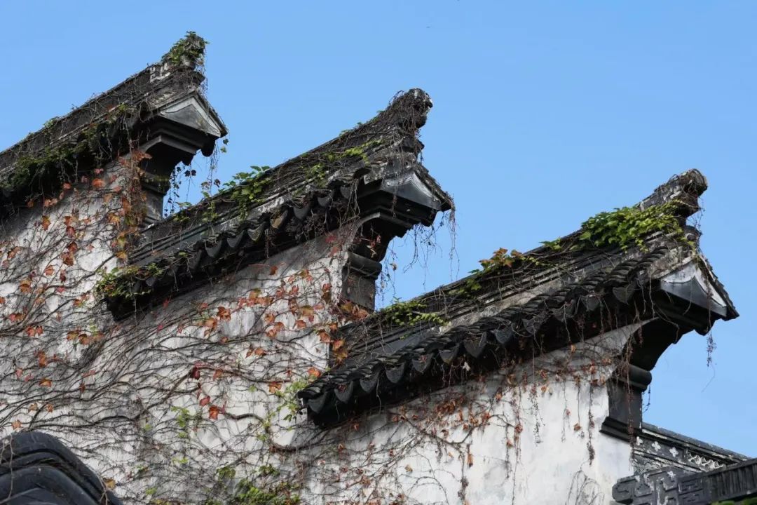 寻找东山秋色