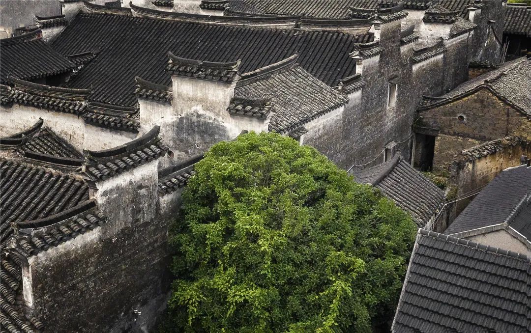 火出圈的“寻宋之旅”，灵感来自这个展览！