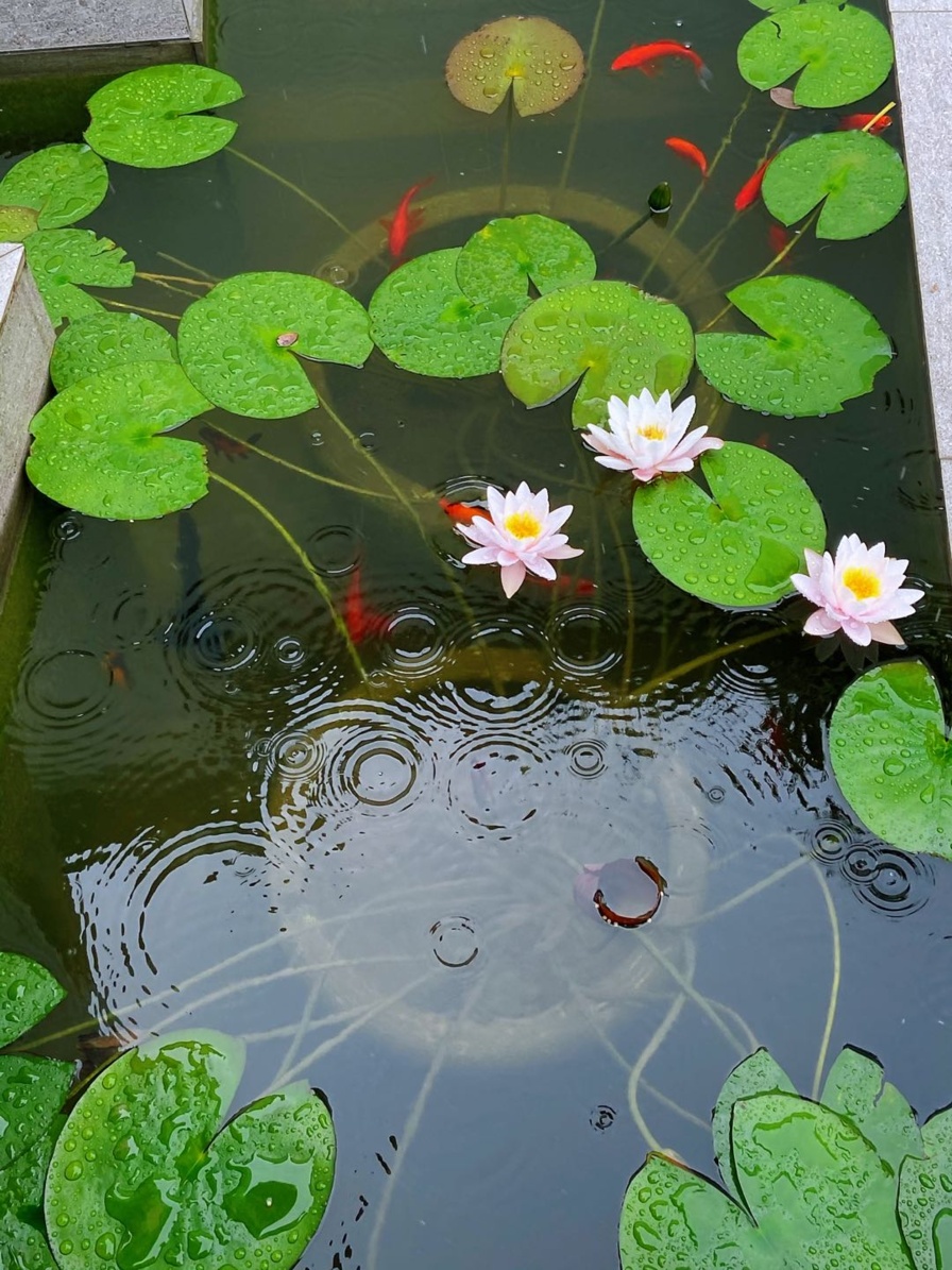 陌上花开缓缓归，隐于湖畔待你寻！