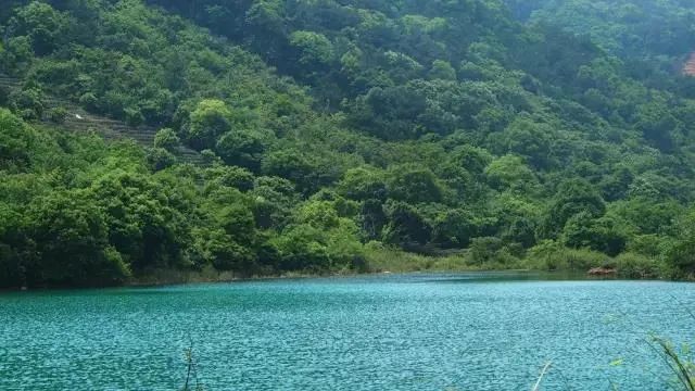 吴中小众“秘境”，绝美！