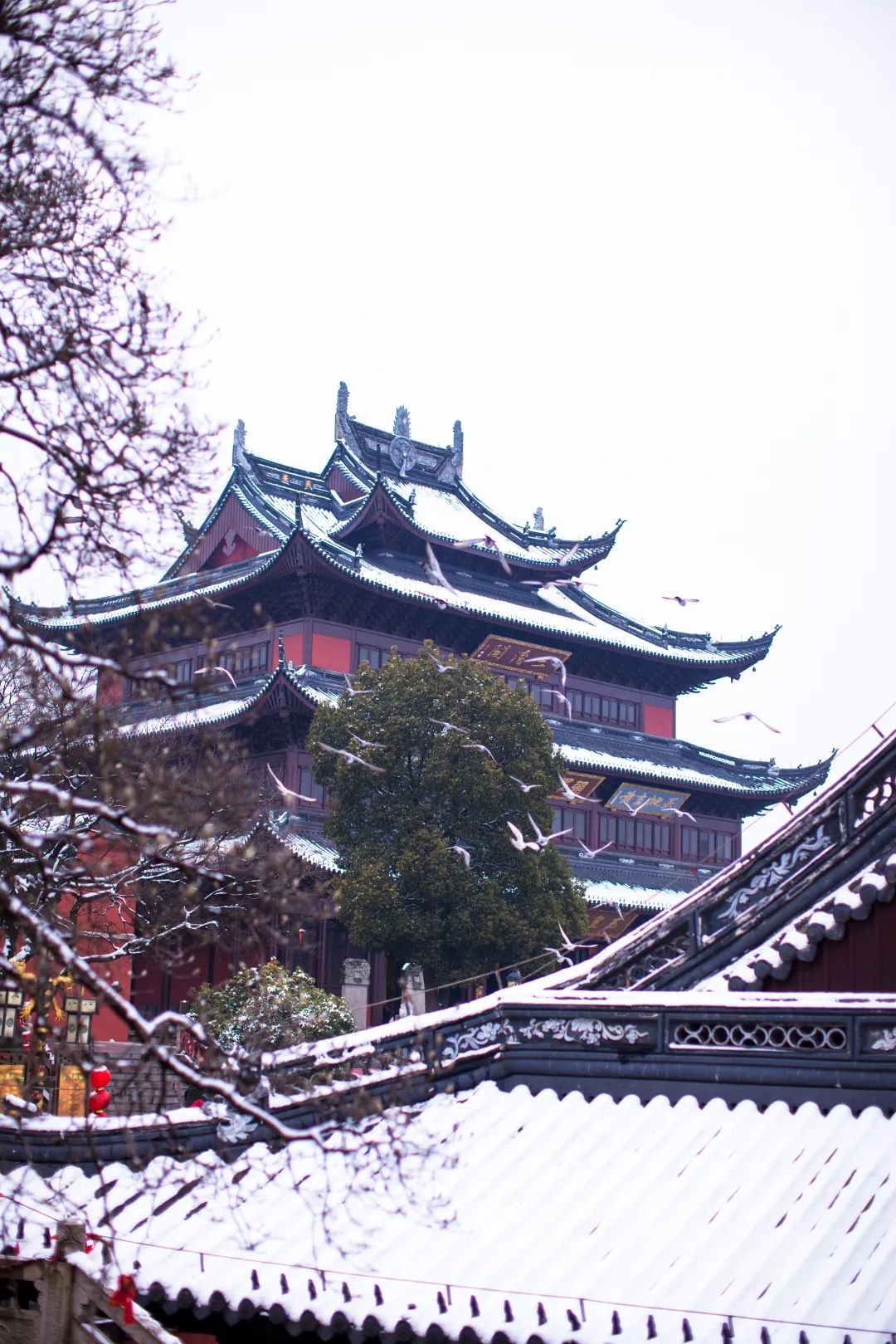 来吴中，约一场冬日康养之旅！