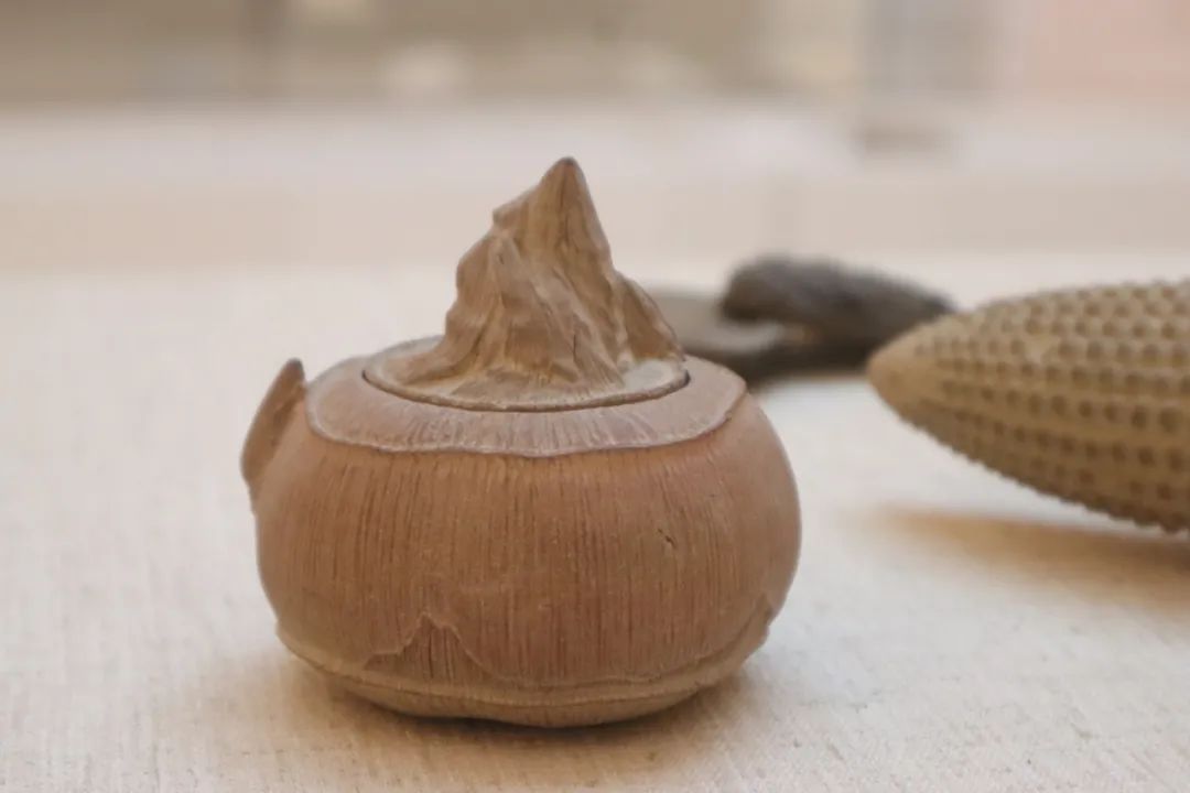 又有新展！这次是你没见过的“石头”！