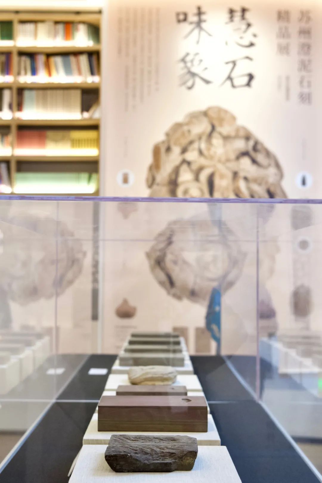 又有新展！这次是你没见过的“石头”！