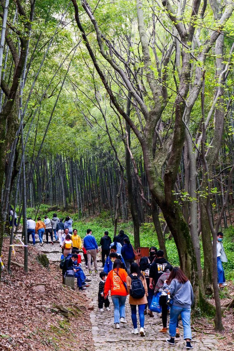 亮点纷呈，平稳有序！2022精彩继续！