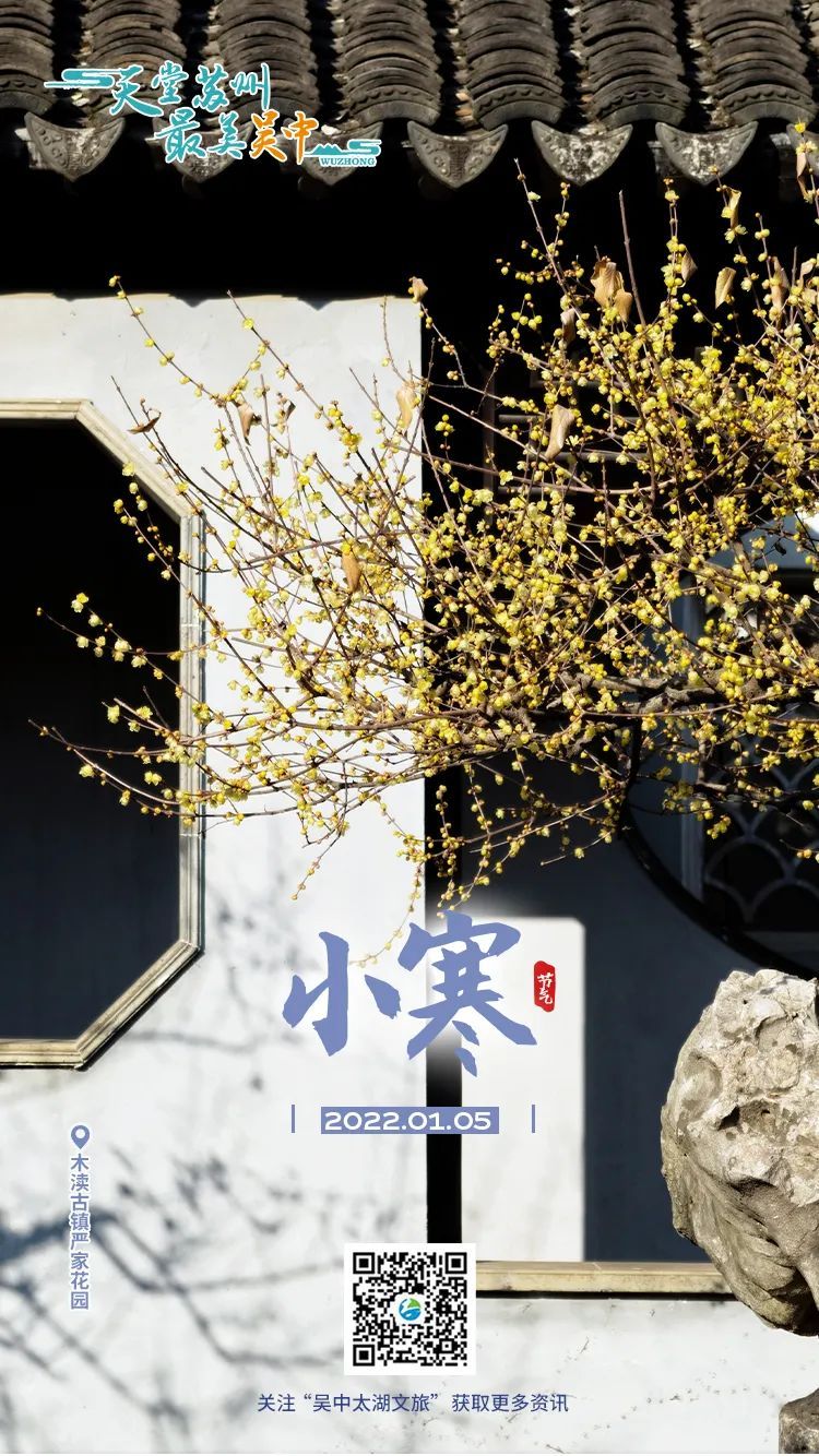 第一波蜡梅已上线，来寻香~