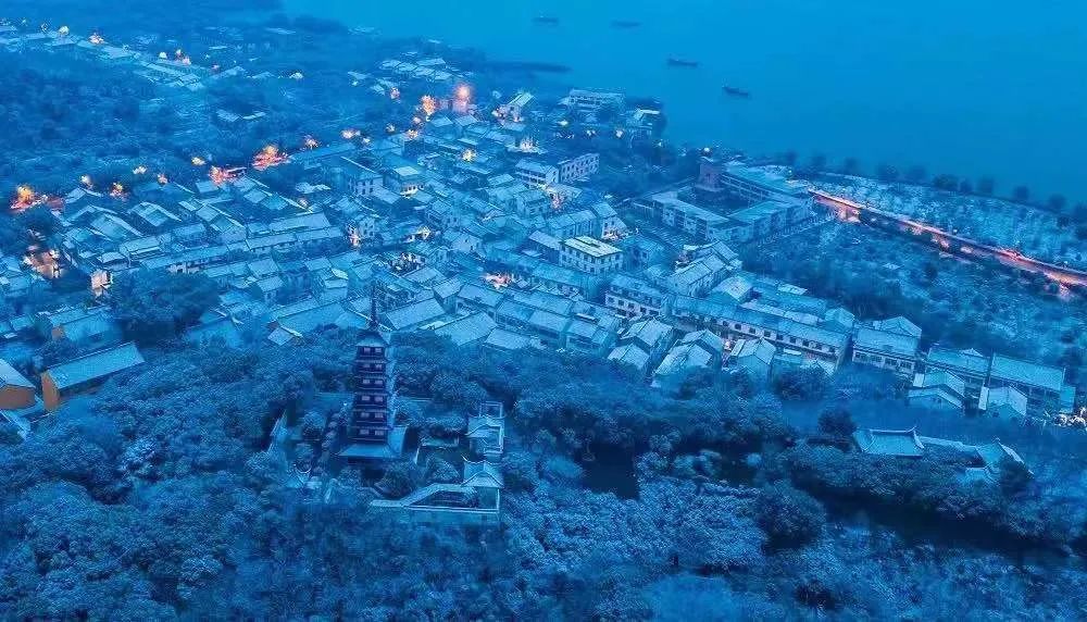 赏梅、观鸥鸟……许你一份冬日治愈~