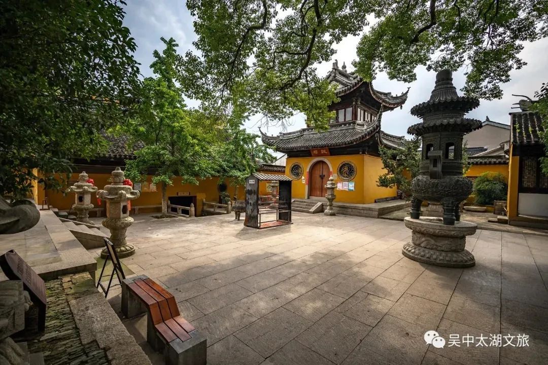 赏梅、观鸥鸟……许你一份冬日治愈~