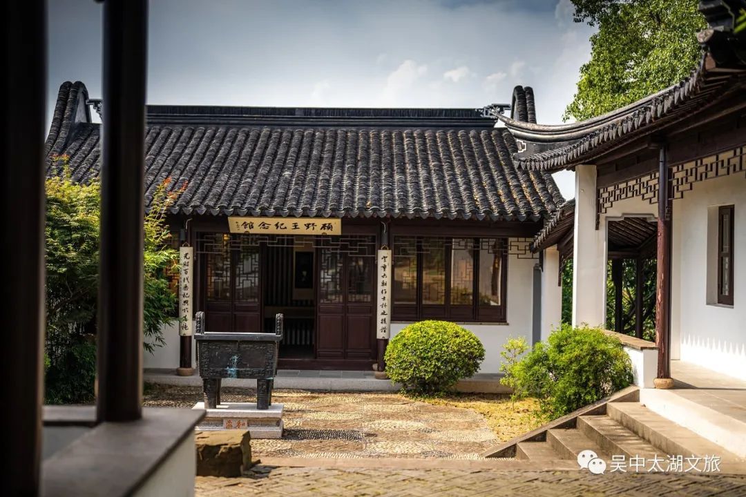 赏梅、观鸥鸟……许你一份冬日治愈~