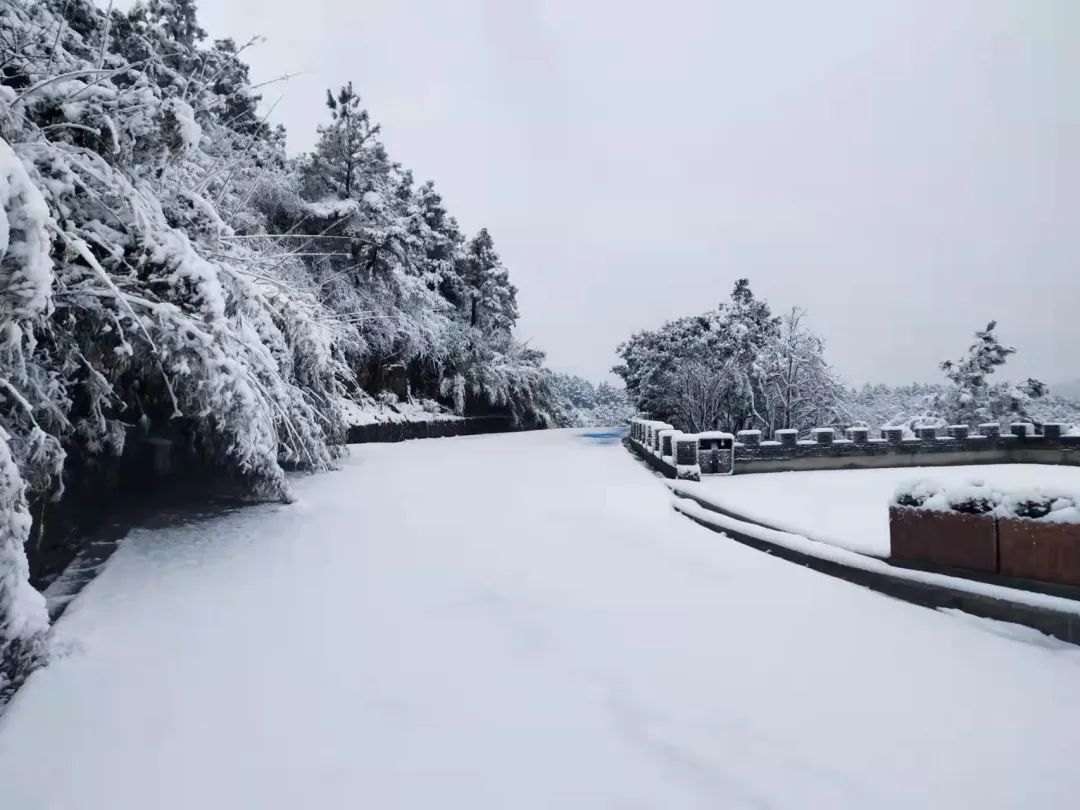 刷屏！2022年第一波雪景美图！