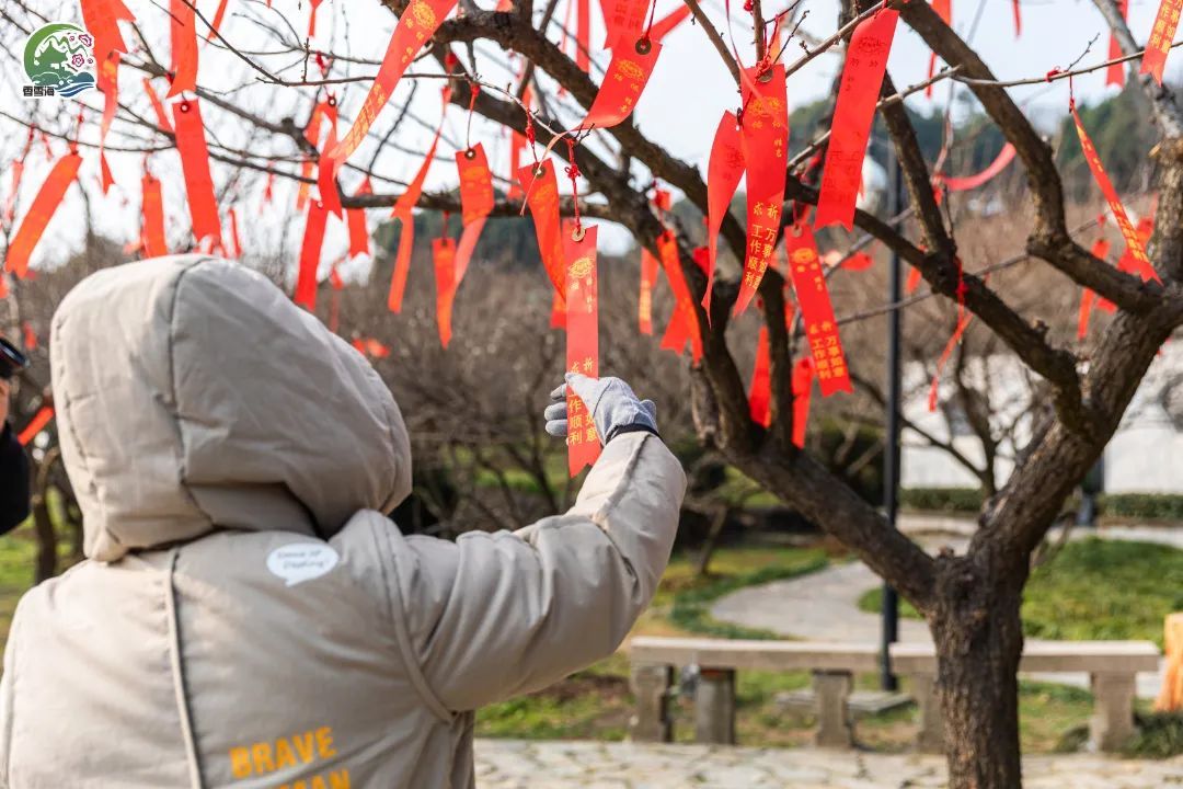 吴中过大年，风景独好！