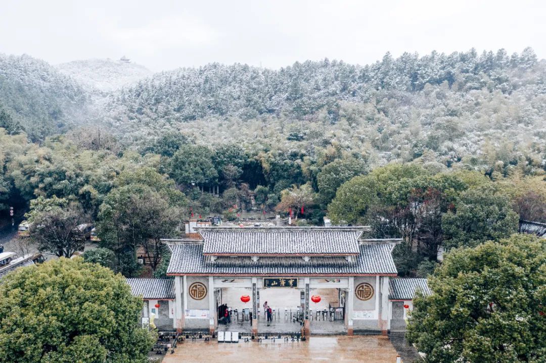 香雪海花开2成！吴中“香”了！