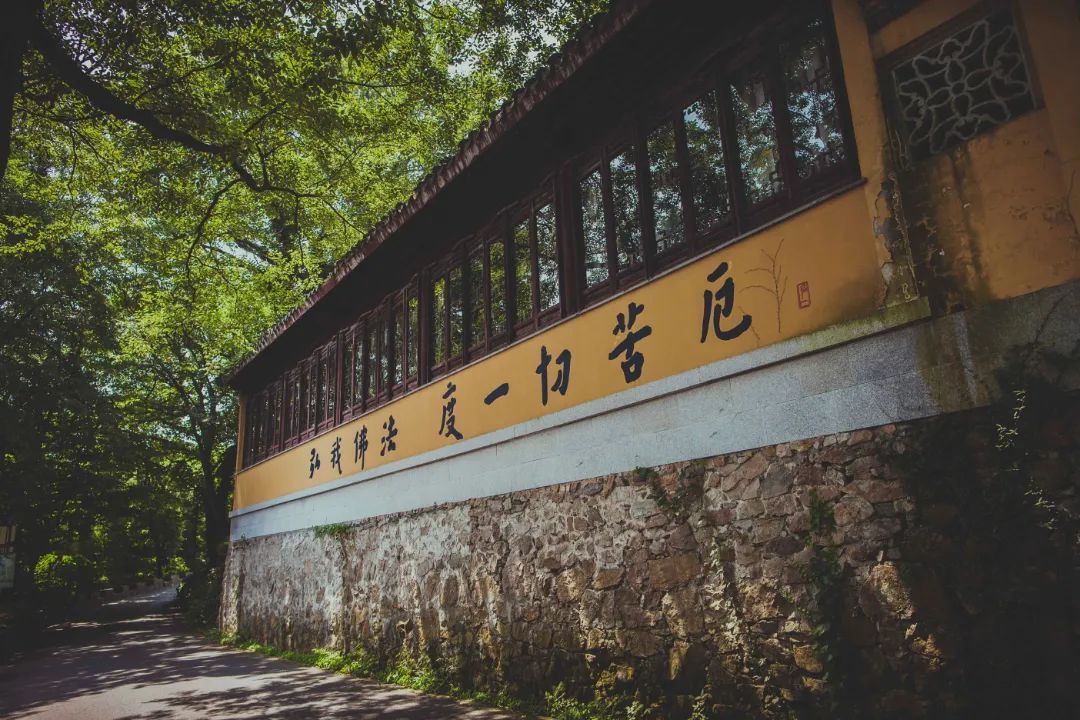 香雪海花开2成！吴中“香”了！