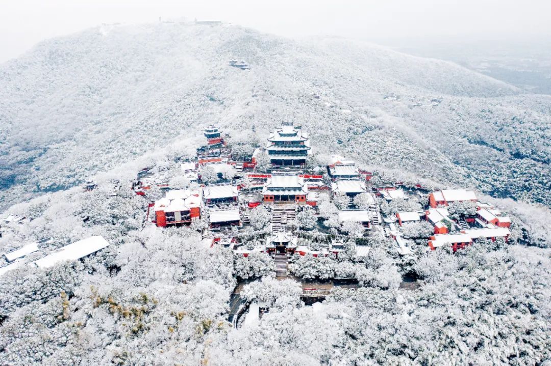 香雪海花开2成！吴中“香”了！