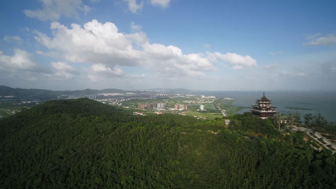 香雪海花开2成！吴中“香”了！