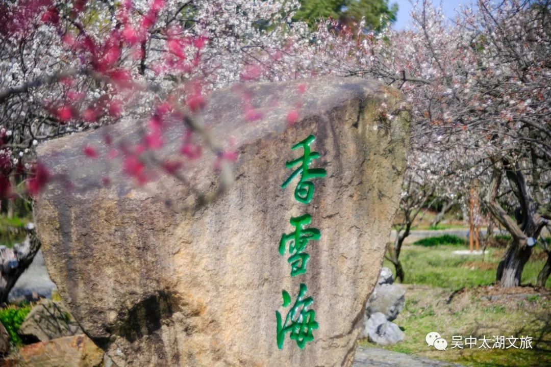 明天！见一面吧，和吴中的春天！