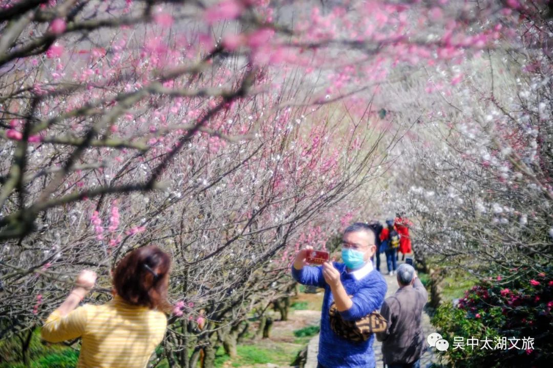 明天！见一面吧，和吴中的春天！