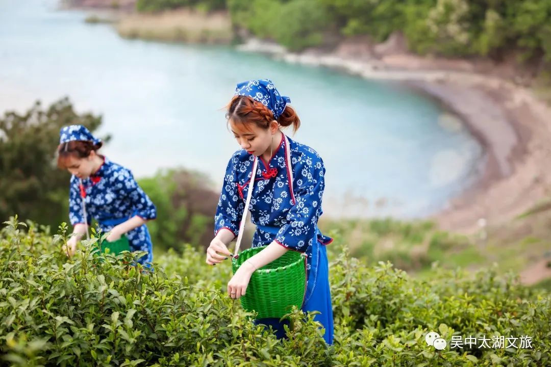 入春啦！您下单的春色正在派送中……