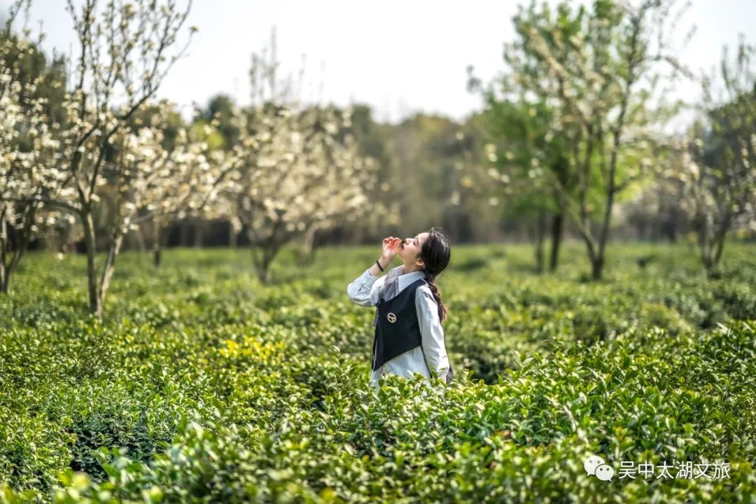 入春啦！您下单的春色正在派送中……