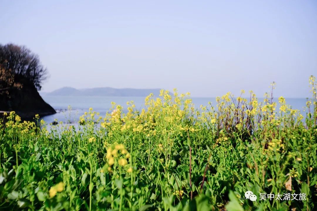 你向往的“漫”生活，就在这座小岛上！