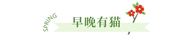 你向往的“漫”生活，就在这座小岛上！