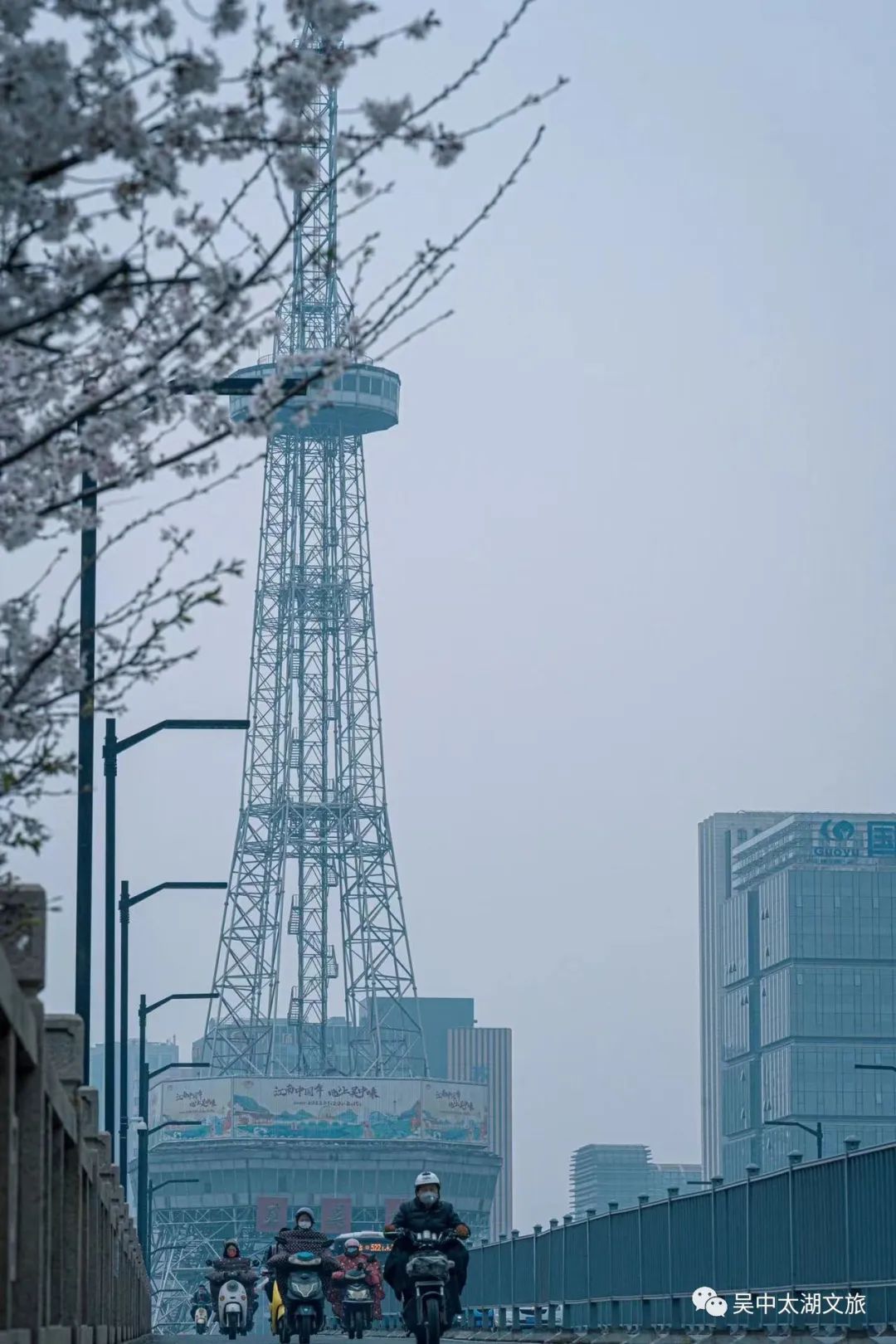 最新实拍丨吴中早樱盛开，承包你的浪漫春天！