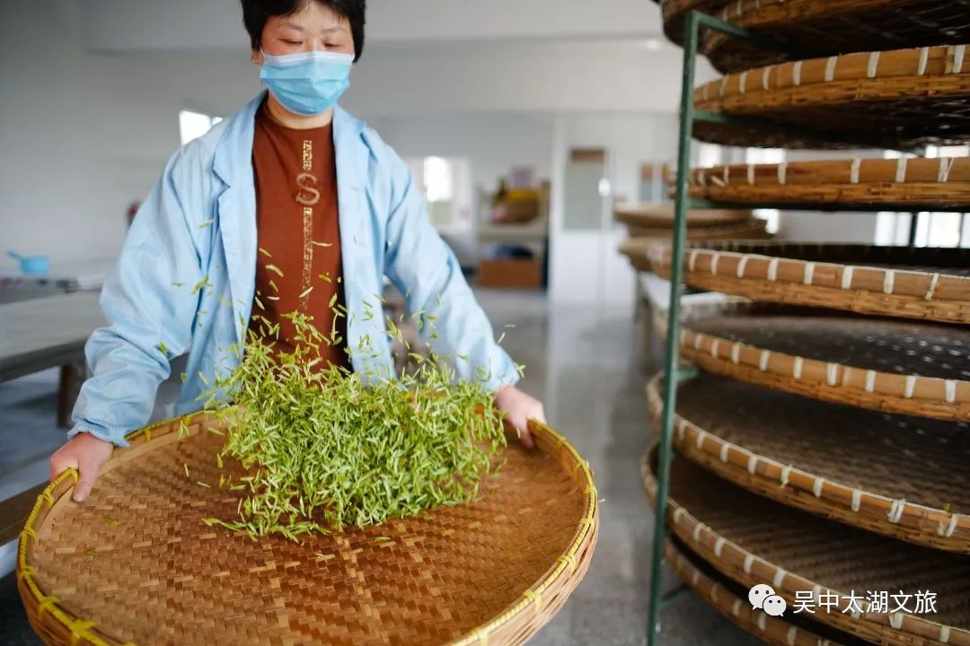 这两条茶文化旅游线路快收藏！