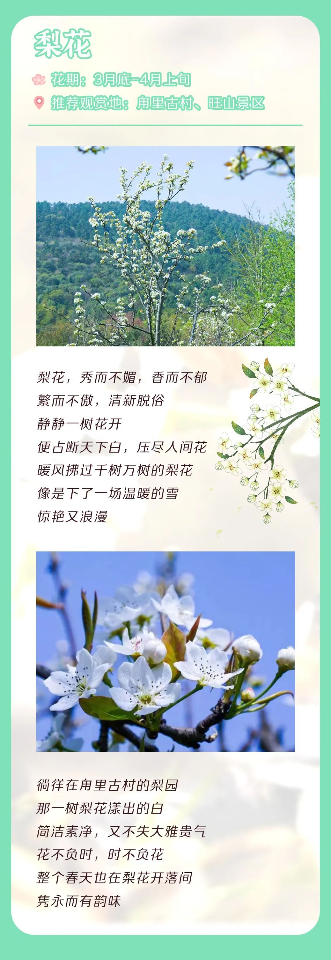 吴中花花图鉴.jpg