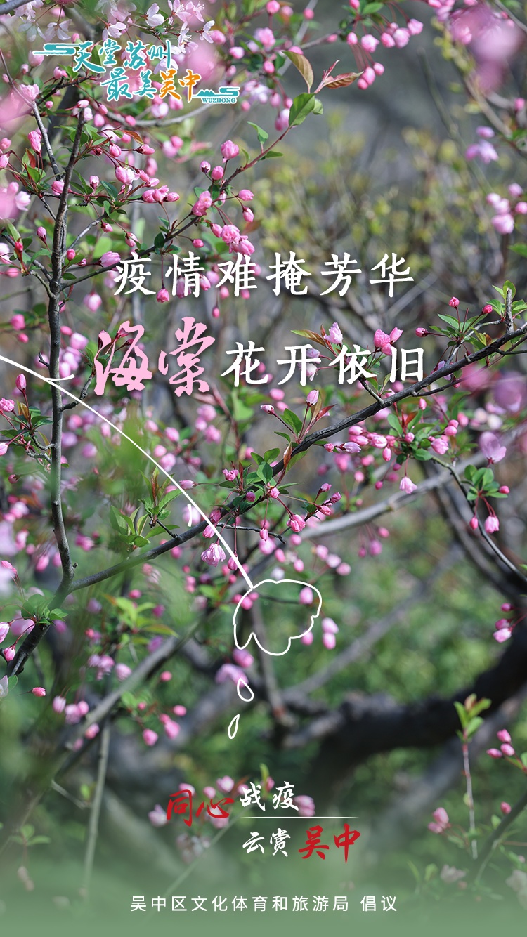 来和吴中的花花聊聊天吧！