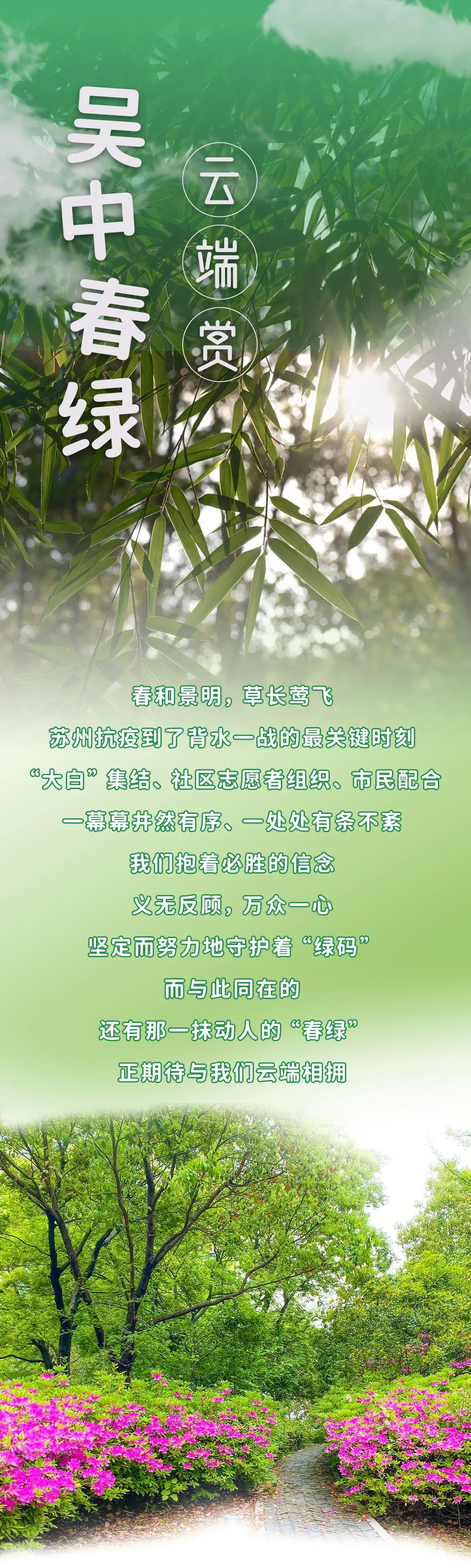 守护绿码！拥抱绿意！