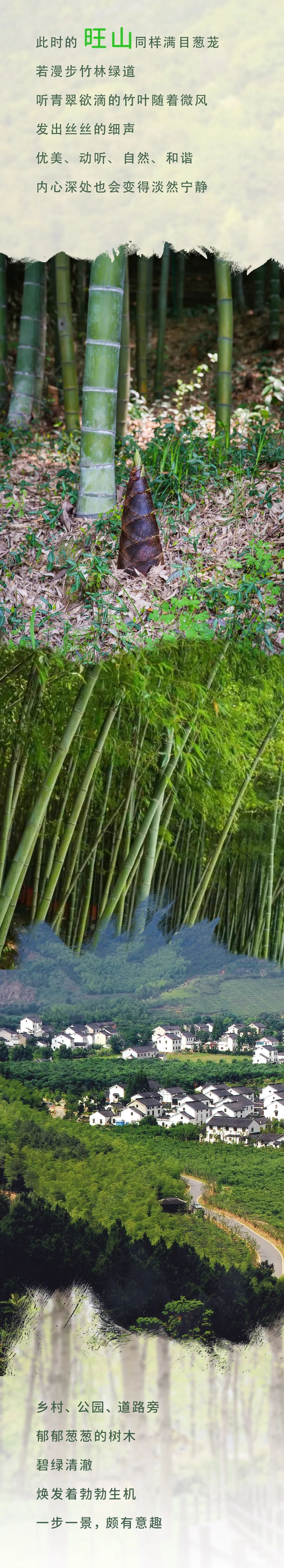 守护绿码！拥抱绿意！