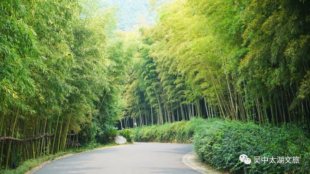 这部热播剧的取景地，就藏在吴中的竹林里！