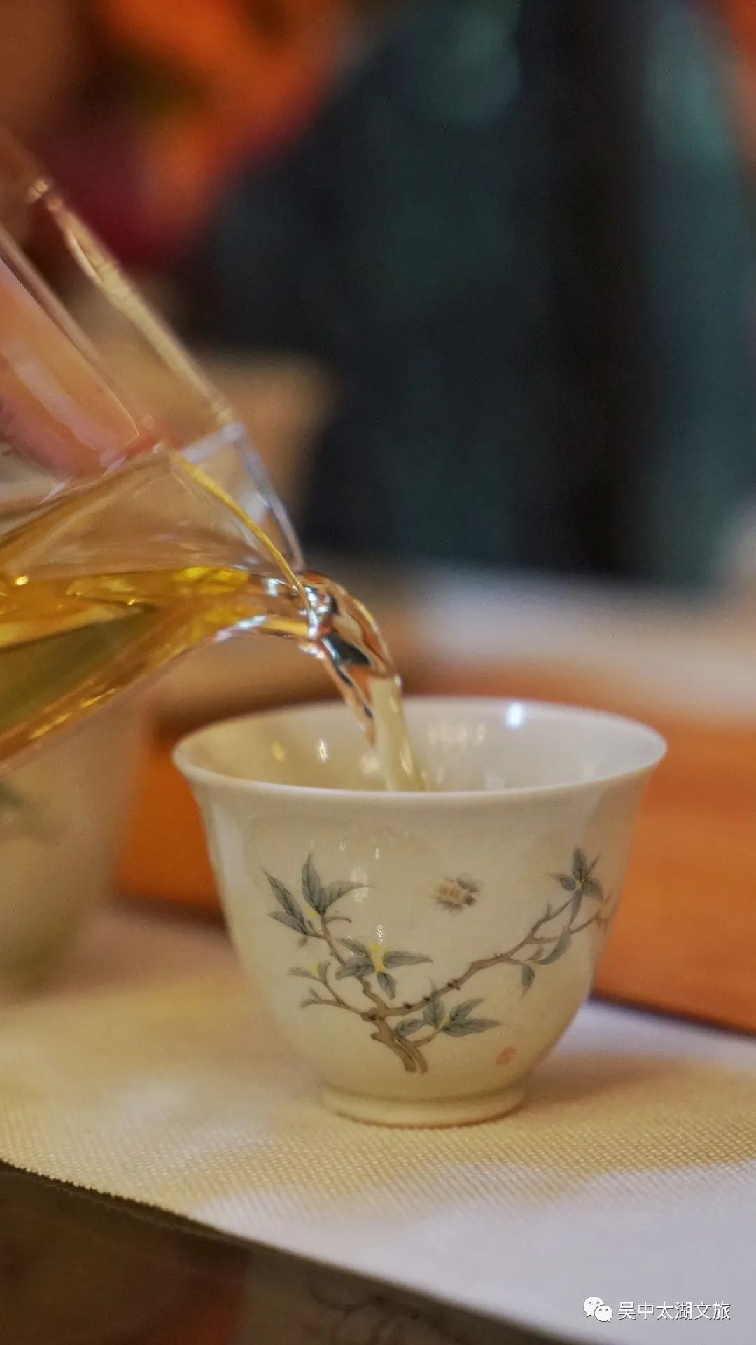 这部热播剧的取景地，就藏在吴中的竹林里！