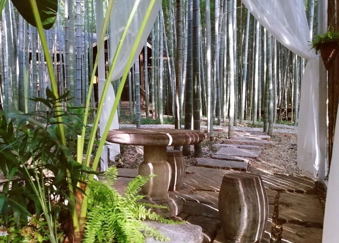 这部热播剧的取景地，就藏在吴中的竹林里！