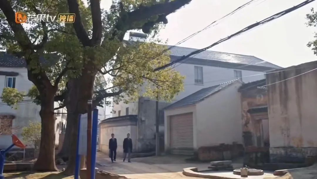 这部热播剧的取景地，就藏在吴中的竹林里！