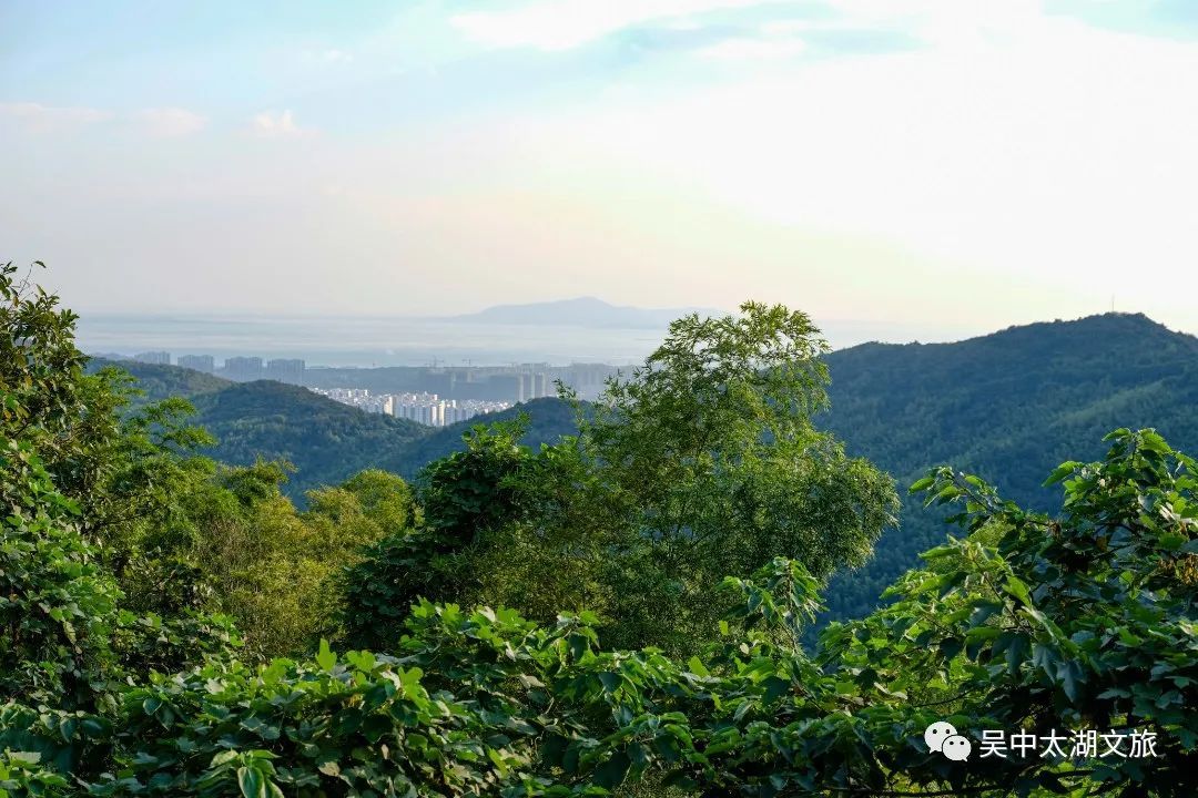 吴中初夏，“五味俱全”！